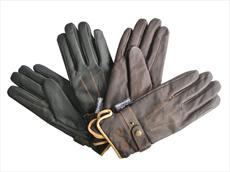 Mark Todd Winter Gloves with Thinsulate - Equestrian Shop